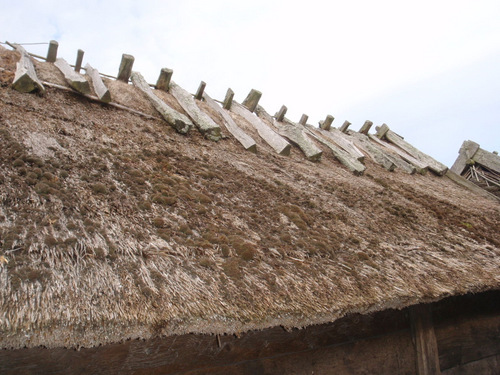 Viking Fortress Interior Structures.